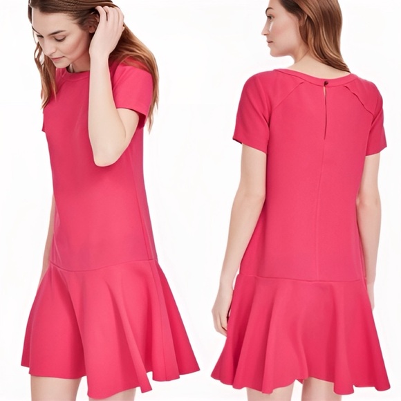 NWT Banana Republic Hot Pink Drop Waist Short Sleeve Dress Womens Size 8 - Picture 1 of 8